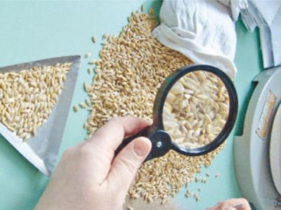 Испытания семян на ГМО