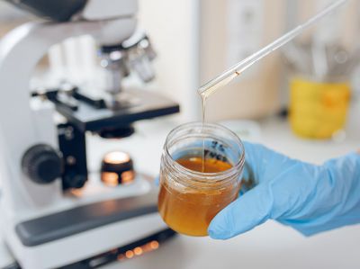 Лаборатория качества и безопасности продукции: исследования мёда с пасек восьми районов Омской области.