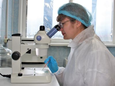 Лаборатория распределения образцов: отчет по госзаданию за период с 25 июня по 8 июля