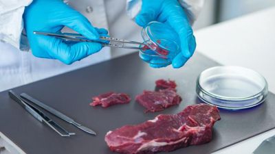 Экспертиза мясной продукции